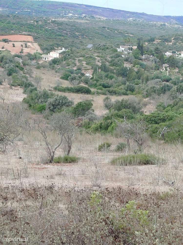 Terreno Misto Para Venda com 81.790m² na Falcoeira – Luz, Lagos - Grande imagem: 5/11