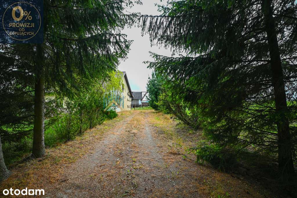 Urokliwe siedlisko – Krejwiany - NIŻSZA CENA!!! - Pełny obrazek: 5/7