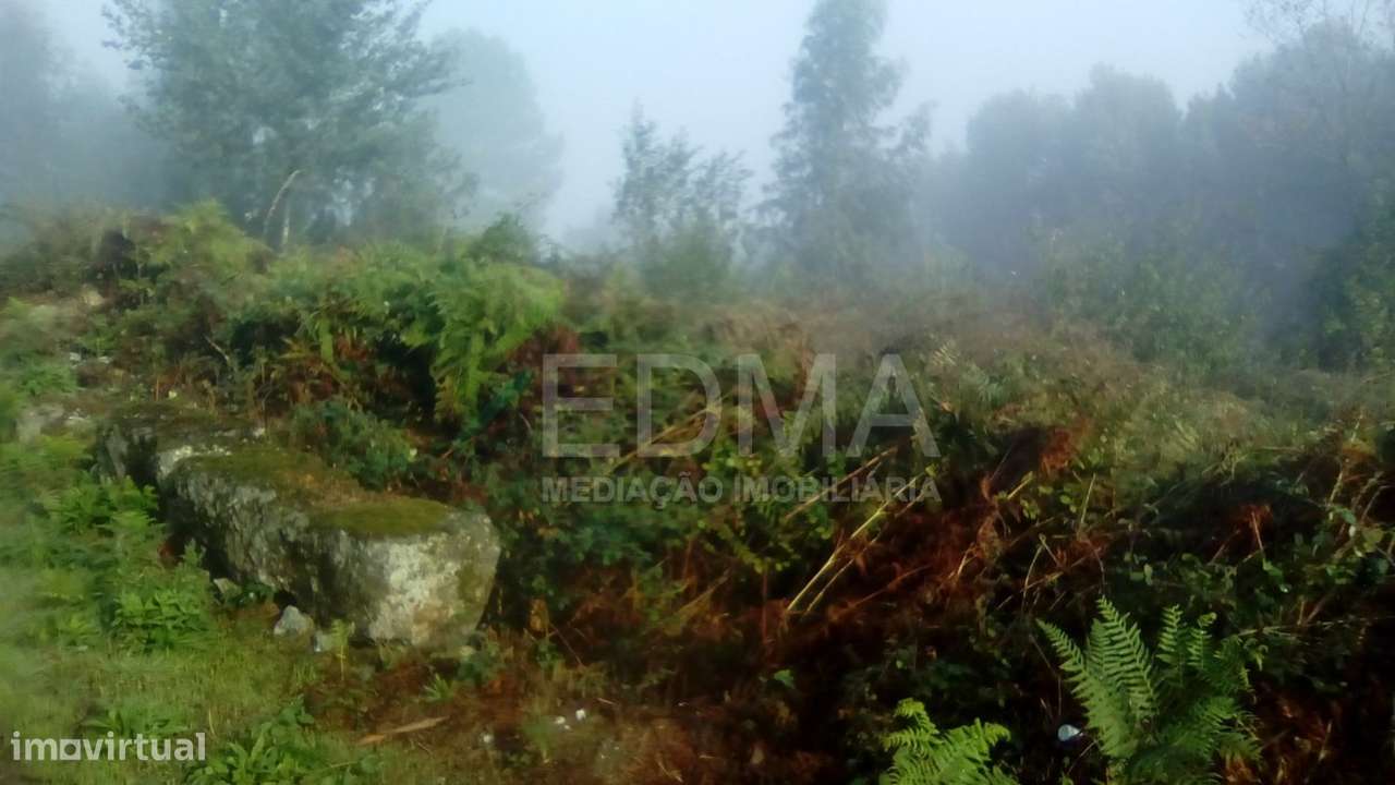 Terreno - Grande imagem: 5/6