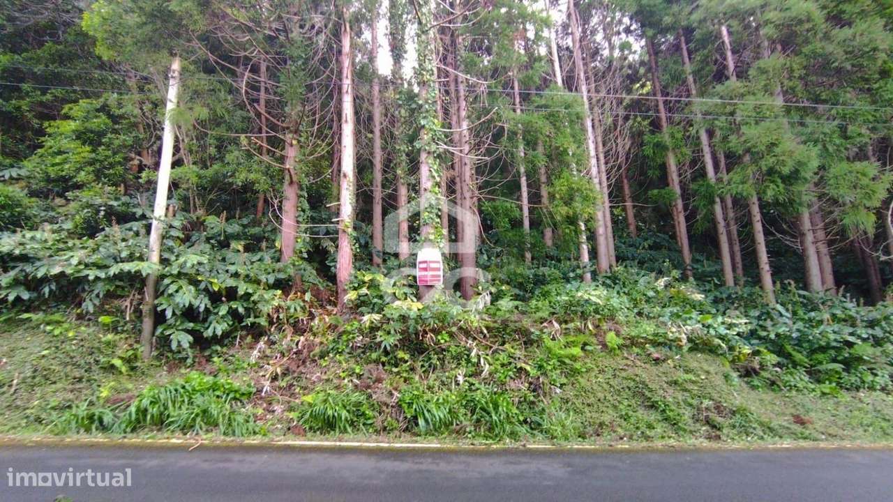 Terreno com 41.624,00 m2 - Santo Amaro - São Roque do Pico-9