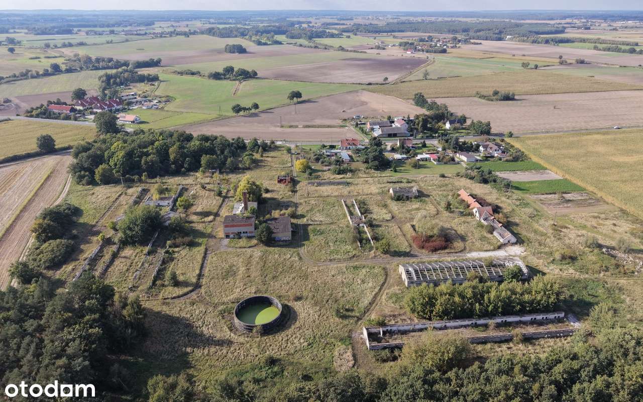 Duży teren przemysłowy 33 ha przy S5, Żmigród, Wrocław.-3