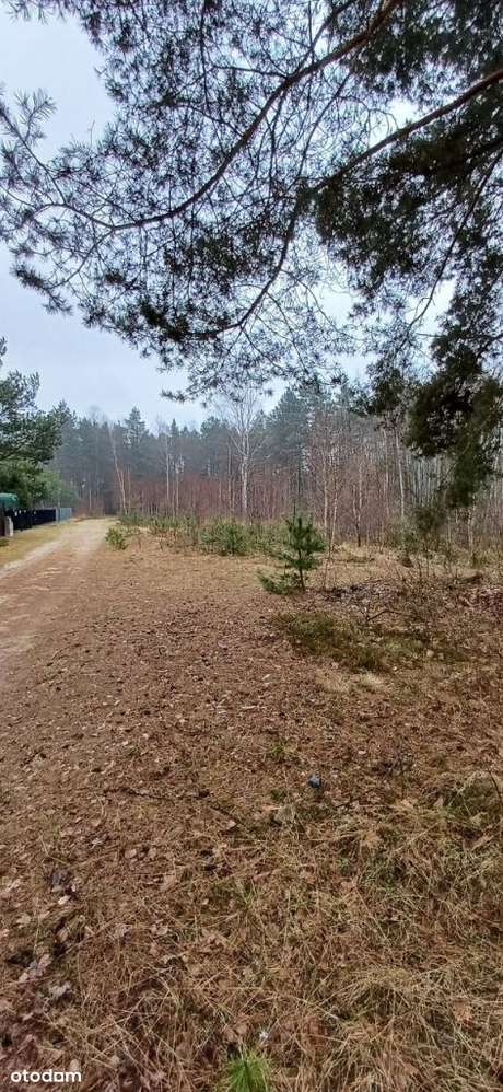 Secemin tereny pod zabudowę rekreacyjną-4