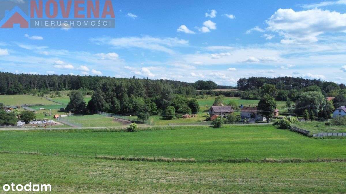 Niedary, las 280m - Pełny obrazek: 4/11