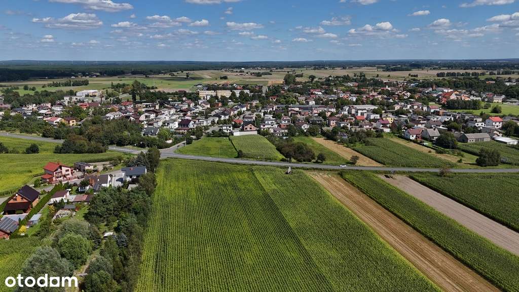 Działka z potencjałem przy głównej drodze - Pełny obrazek: 4/8