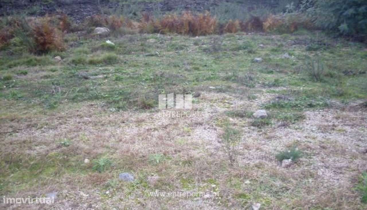 Venda Lote, Grilo, Baião - Grande imagem: 2/24