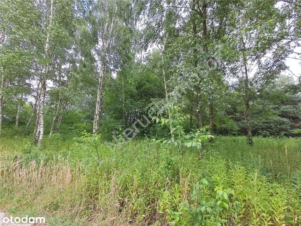 Spokój, zieleń i wygodna lokalizacja w jednym. - Pełny obrazek: 4/4