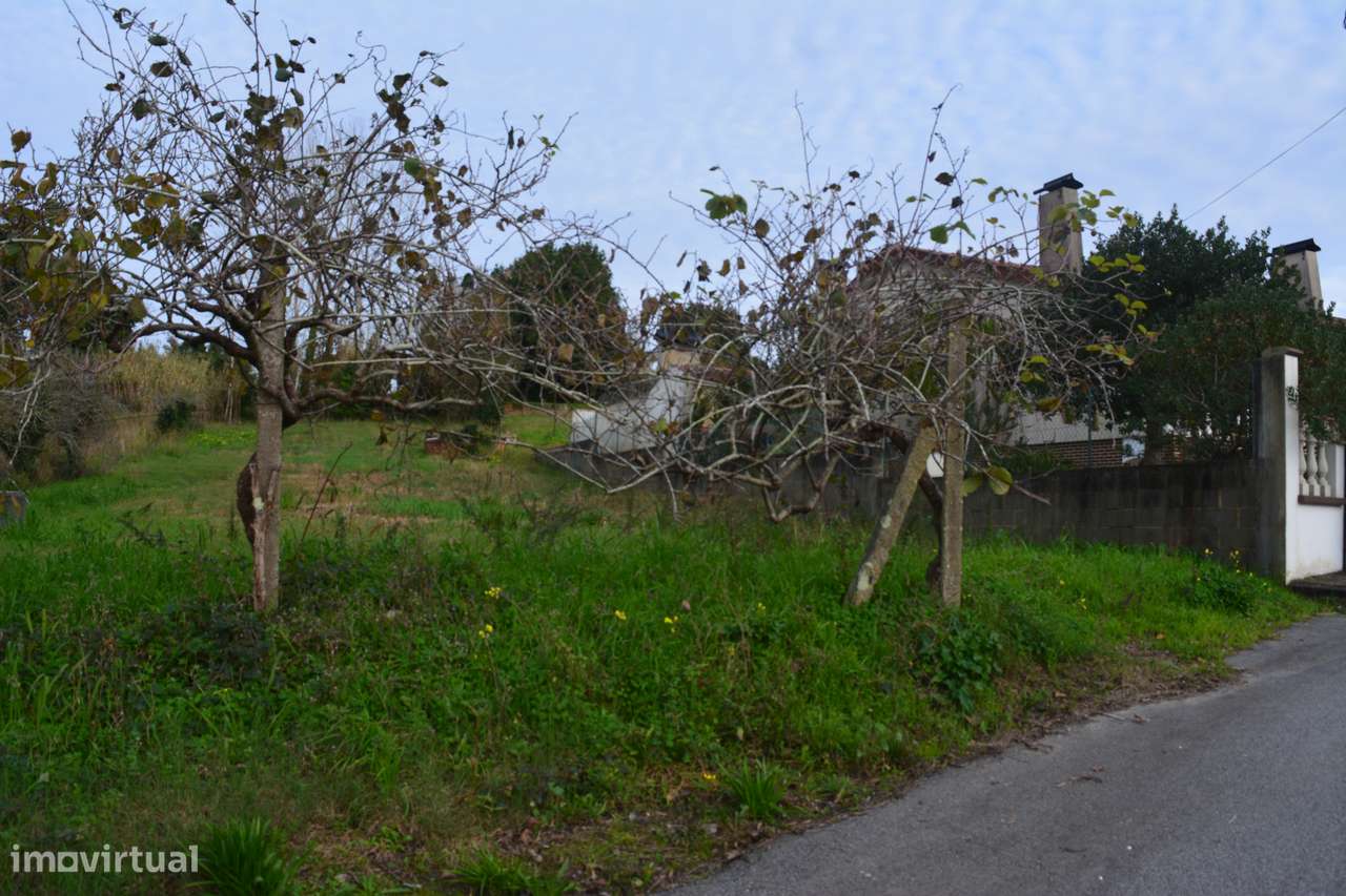 Terreno Urbano em Nariz, Aveiro - Grande imagem: 4/5