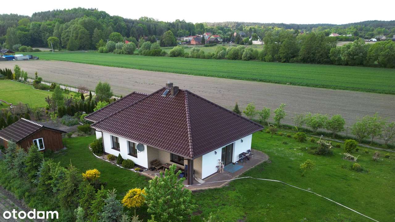 Wygodny dom ze stawem na skraju Borów Tucholskich - Pełny obrazek: 4/12