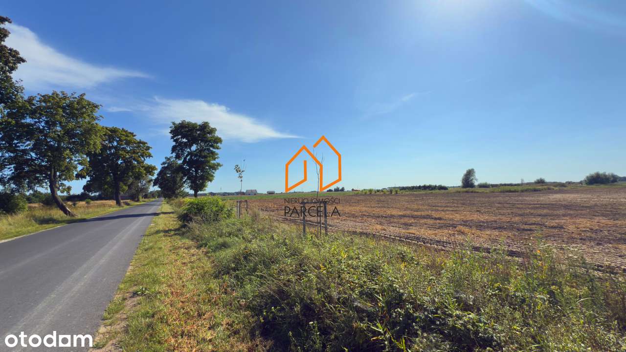 Działka pow. 8735 m2 - Rusiborek. - Pełny obrazek: 4/7