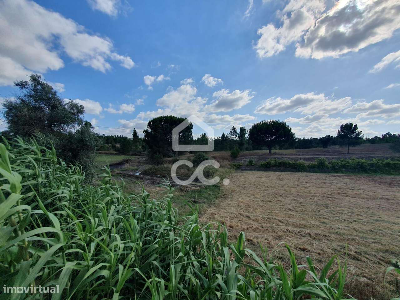 Terreno com 38.830 m² em localização privilegiada em Coruche - Grande imagem: 2/14