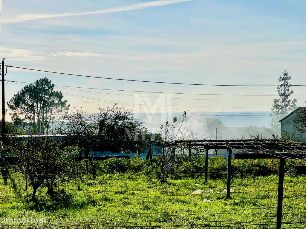 Terreno com vista mar para venda em Afife, Viana do Castelo - Grande imagem: 5/8
