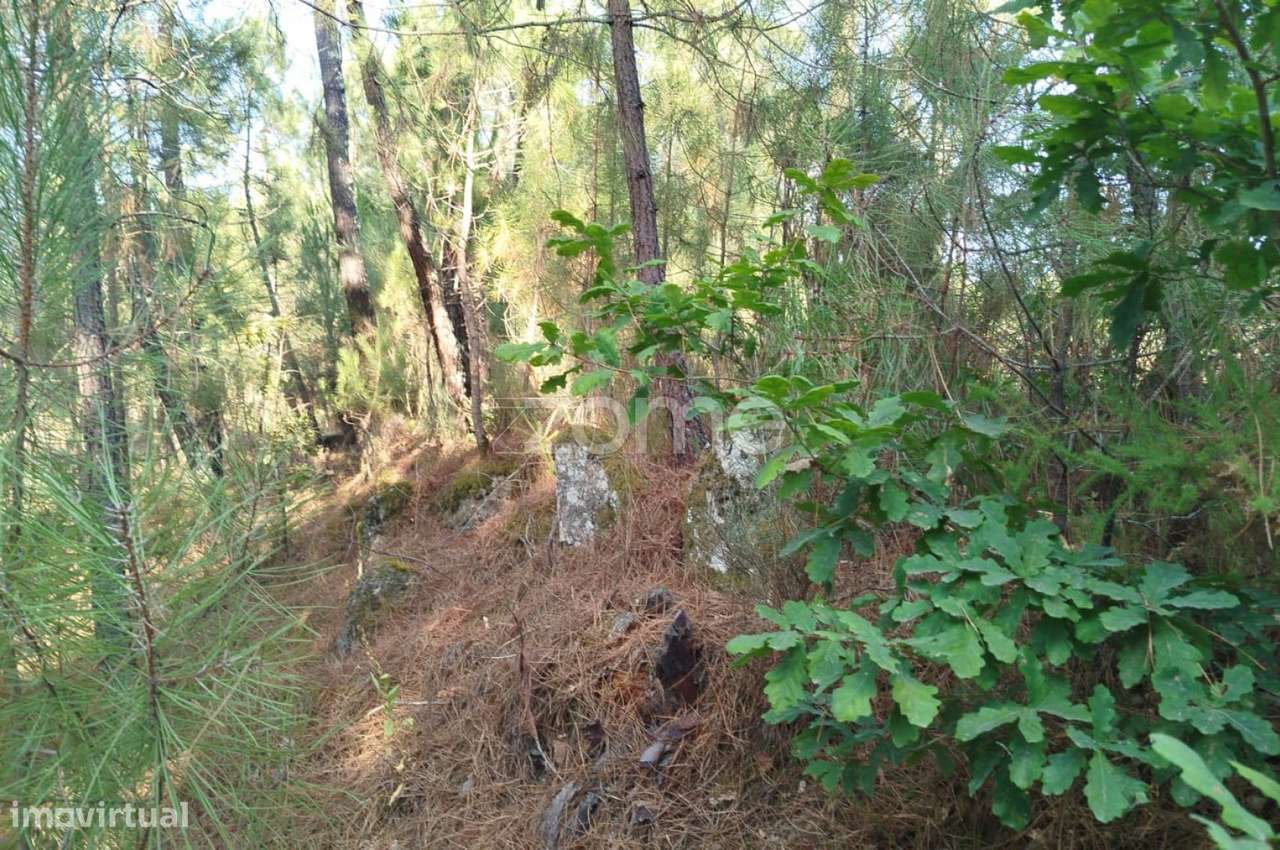 Terreno, 1 958 m², Santiago de Cassurrães e Póvoa de Cervães - Grande imagem: 2/30