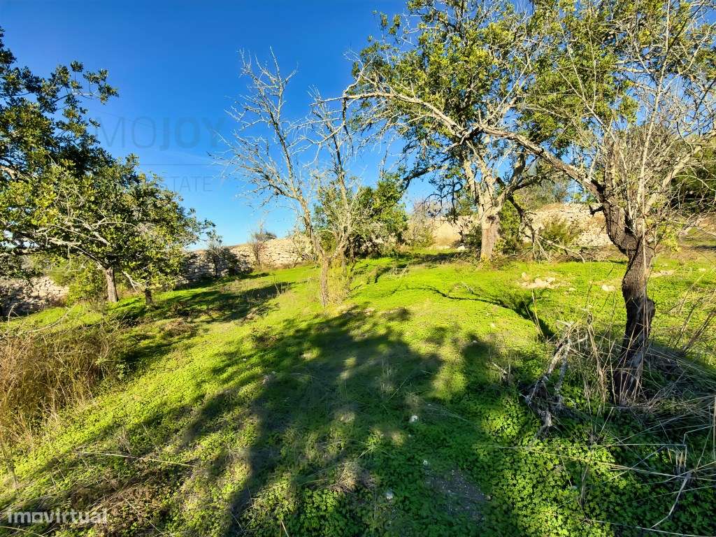 Terreno rústico com viabilidade de construção em Paderne - Grande imagem: 5/18