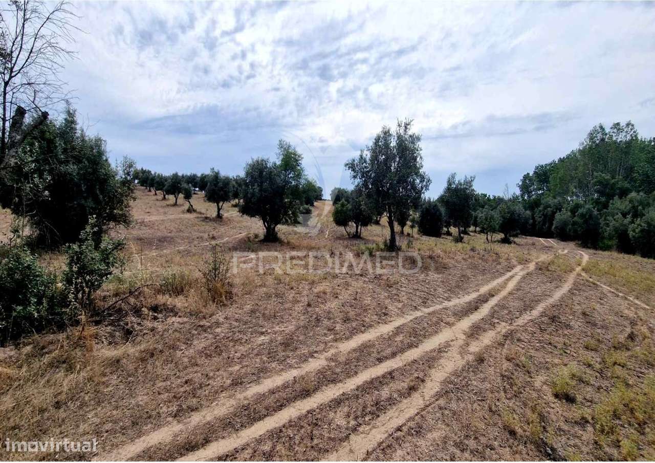 Propriedade -Terreno Rustico  em Vale Sobrigo - Grande imagem: 4/6