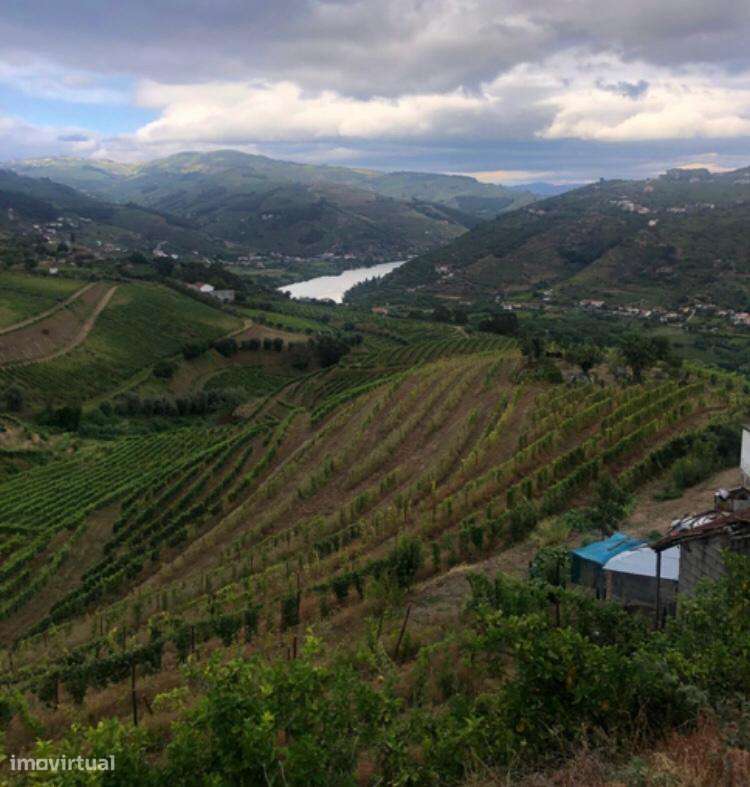Venda de Quinta - Vistas do rio Douro-8
