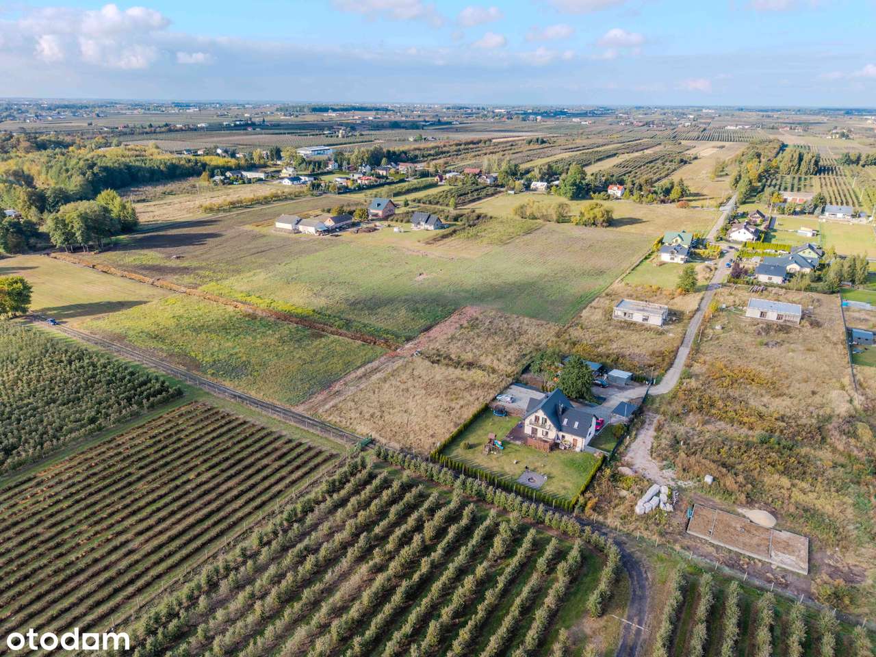 Duża działka 1493 m² z WZ, Turowice k. Grójca, blisko S7 - Pełny obrazek: 4/6