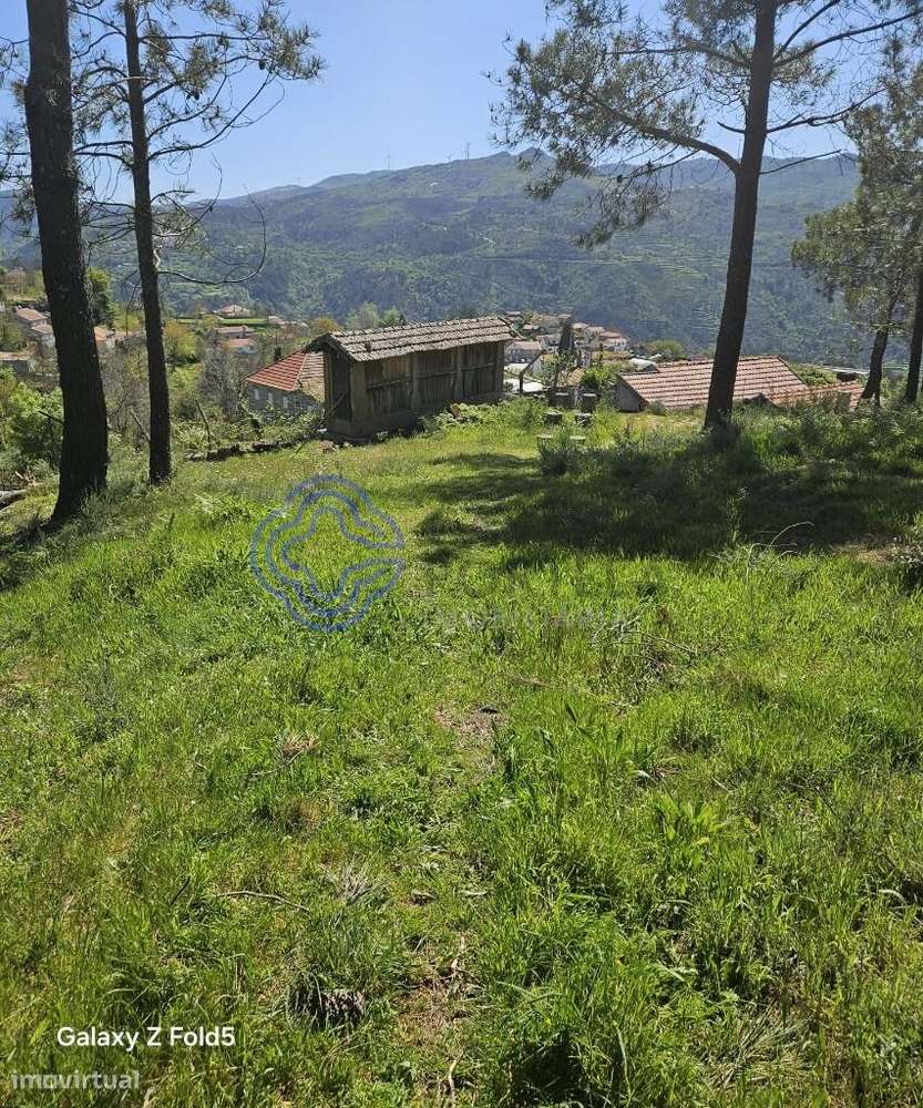 TERRENO CINFÃES - Grande imagem: 4/37