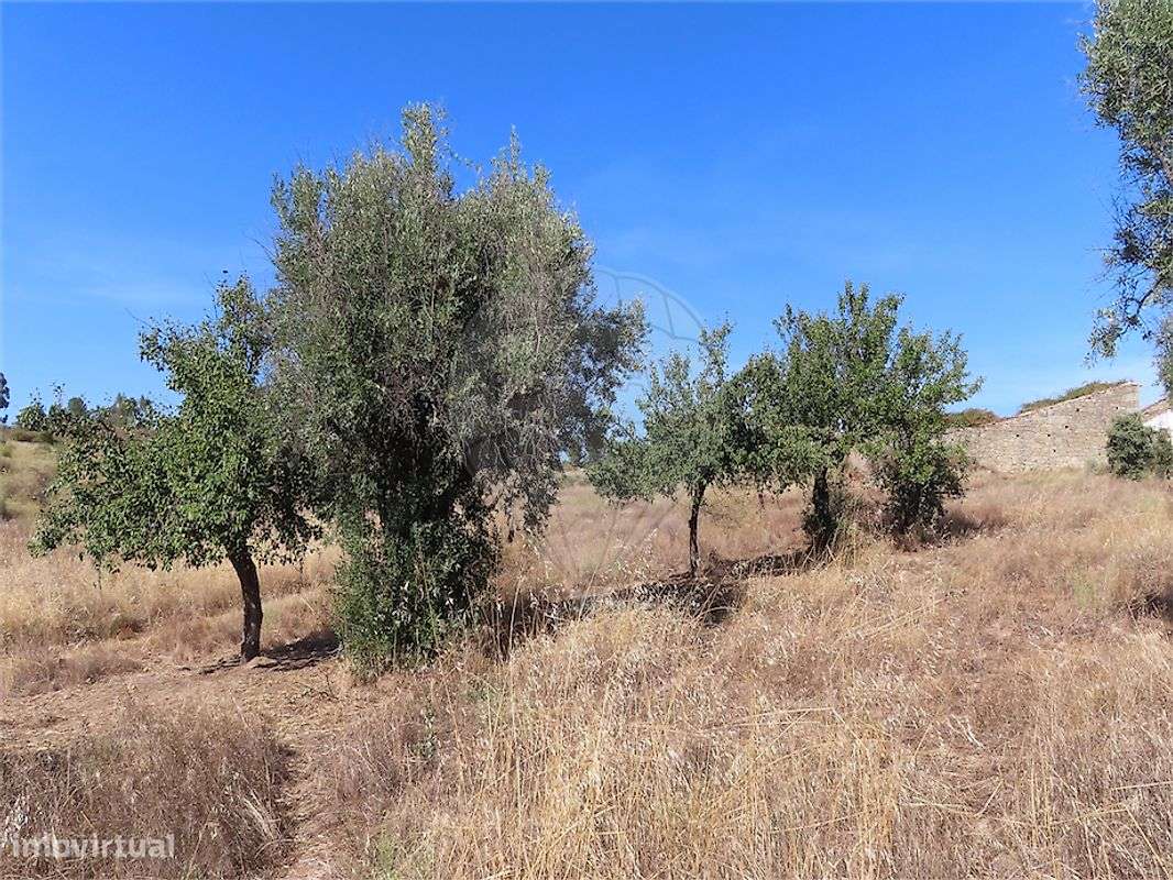 Quinta  para venda-39