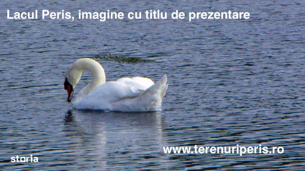 Teren lac Peris IN RATE 1000€, terenuri Tancabesti, Snagov, Corbeanca-5