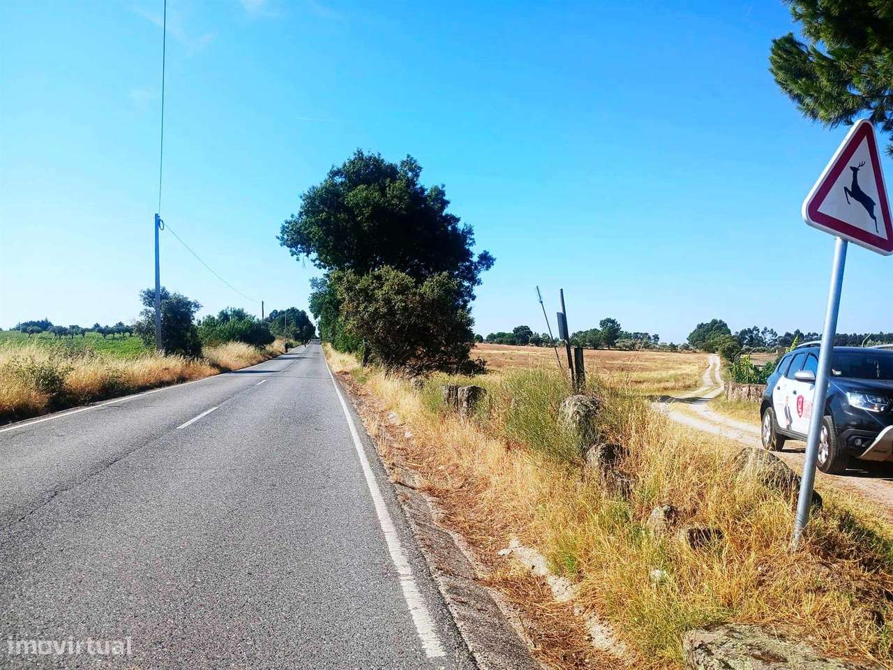 Terreno-4