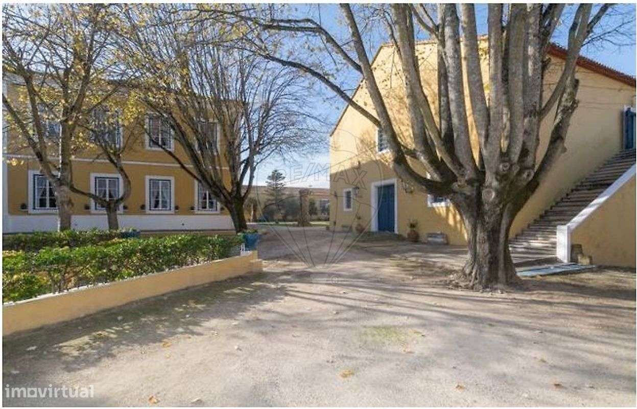 Quinta T21 para venda-39