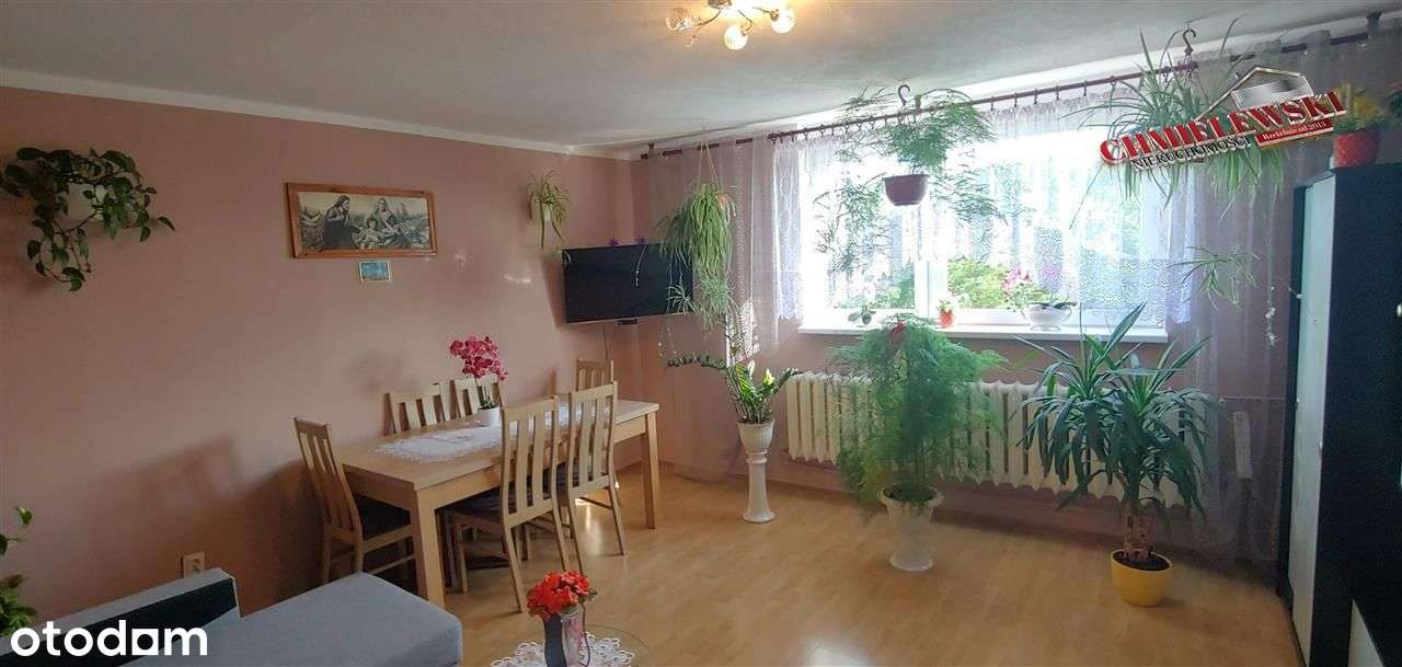 Mieszkanie 3 pokoje z garażem i ogródkiem - Kusice-1