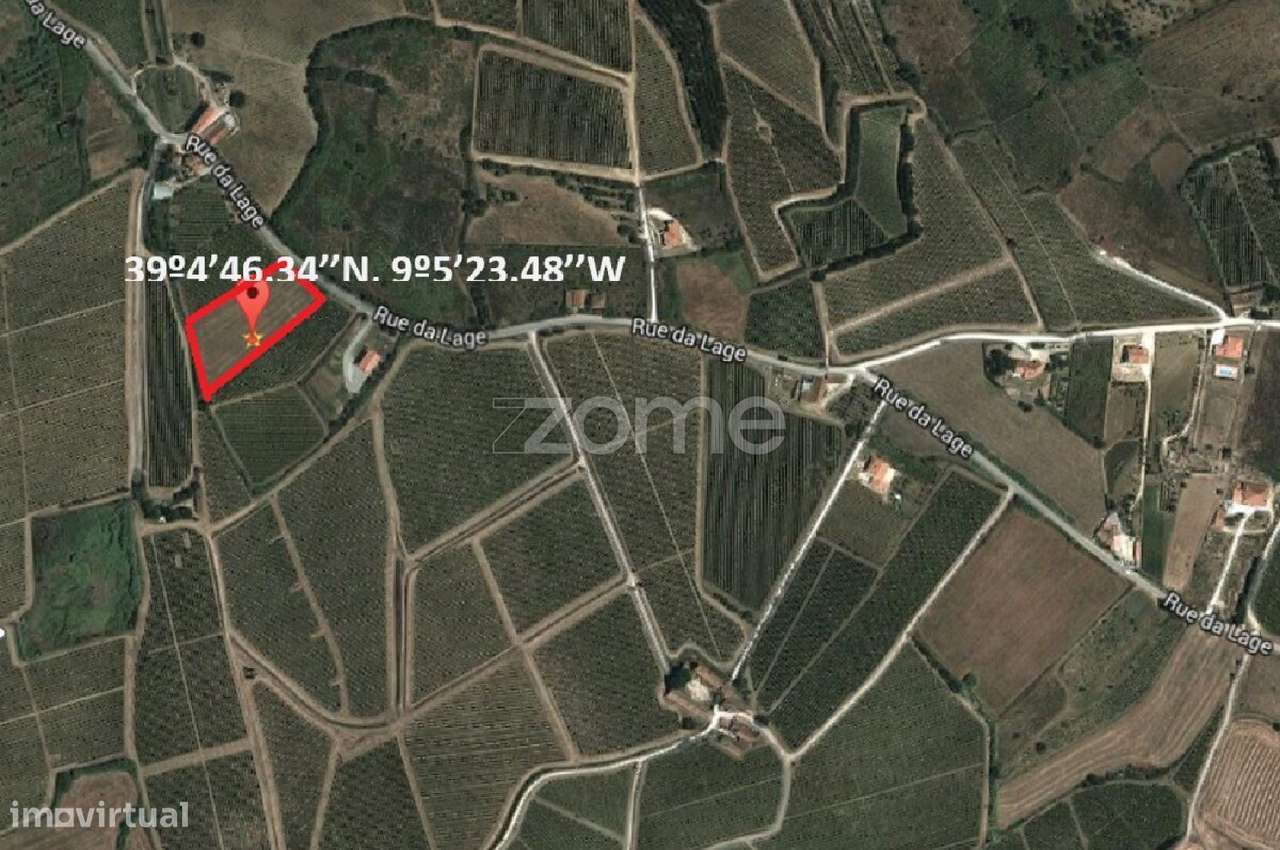 Terreno rústico em Aldeia Gavinha, Alenquer - Grande imagem: 2/11