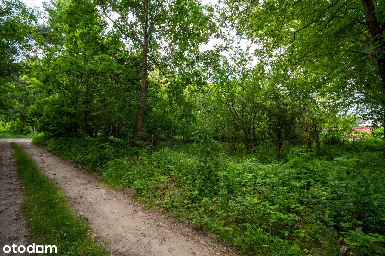 Działka budowlana w okolicy lasu-7