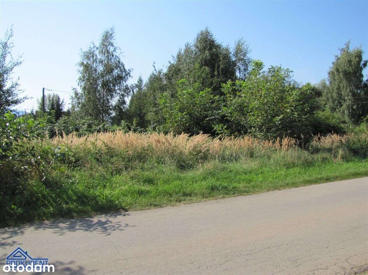 Działka, 2 395 m², Kobiernice-5