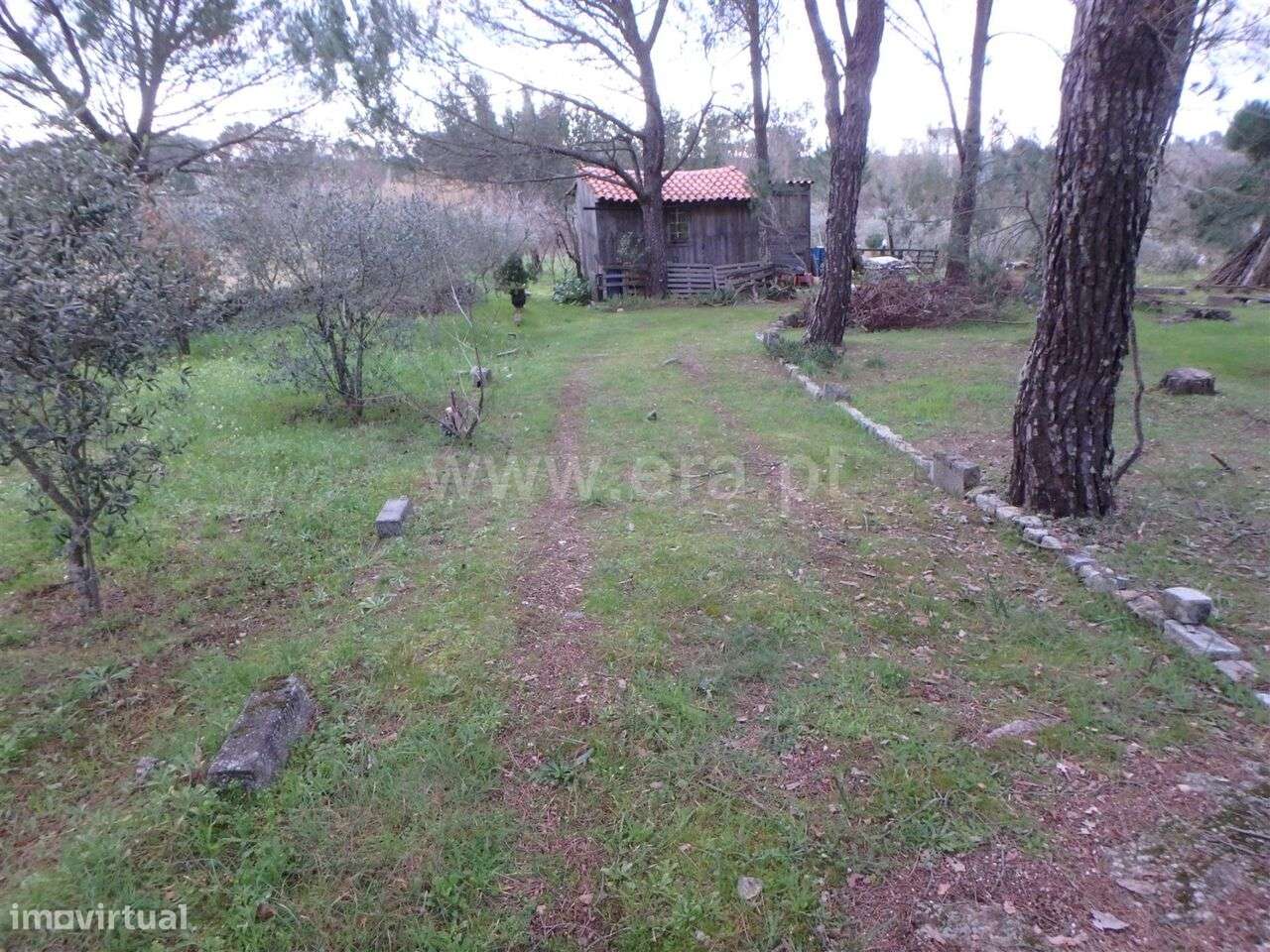 Quinta Estúdio / Seia, Santa Marinha e São Martinho - Grande imagem: 4/10