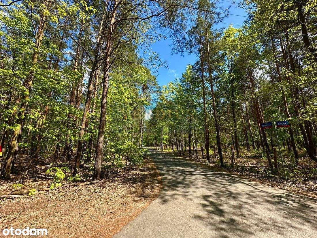 Działka budowlana 1657m2, starodrzew, cisza-0