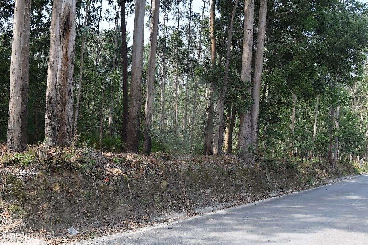 Terreno  para venda-4