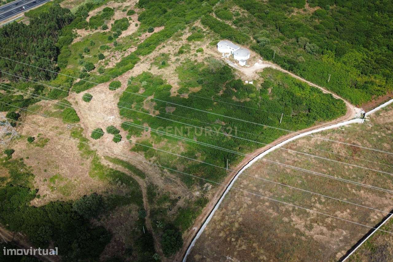 Terreno com Potencial Agrícola e Ambiental | 11.580 m² – Murteira - Grande imagem: 5/18