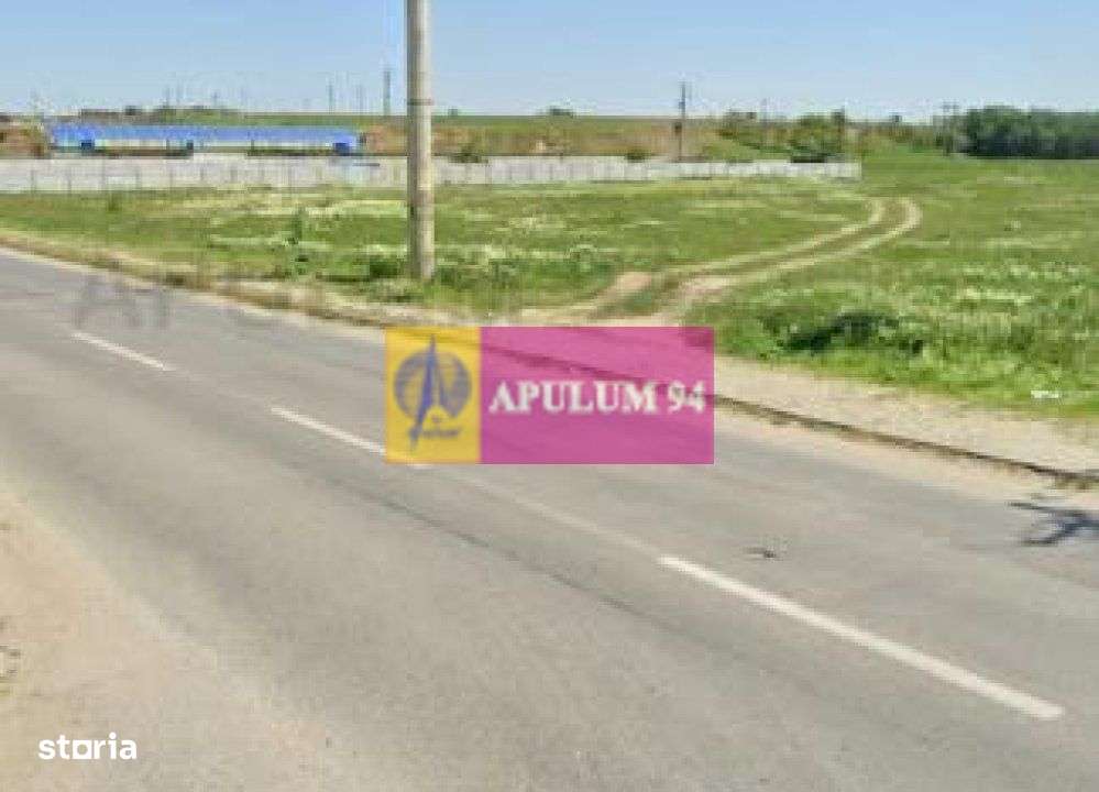 OCAZIE!!! Teren 5000 mp de vanzare in Alexandria - TR - Imagine principală: 1/17