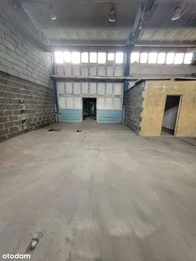 Hale w strefie przemysłowej w Nowej Soli - Pełny obrazek: 4/7