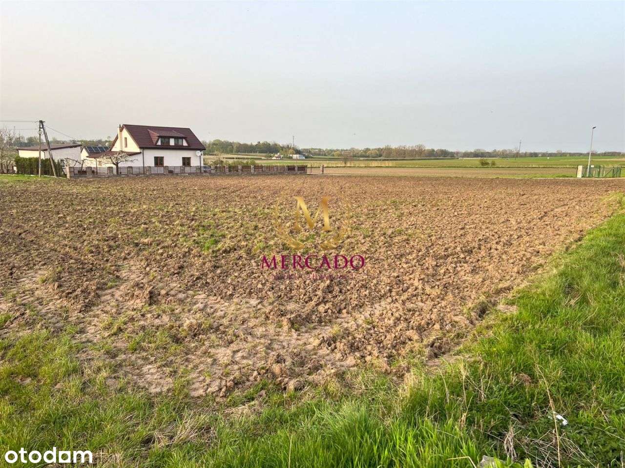 Działka 3000m2 w Borzymiu Tylko dla Rolnika! - Pełny obrazek: 3/6