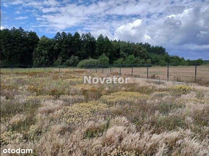 Działka budowlana 935m2 w Rynarzewie, gm. Szubin.-4