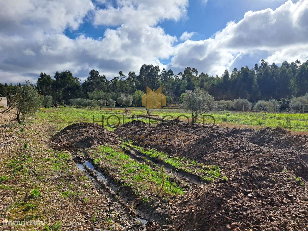 Moradia T3 em construção Marinhais (MR-287)-10