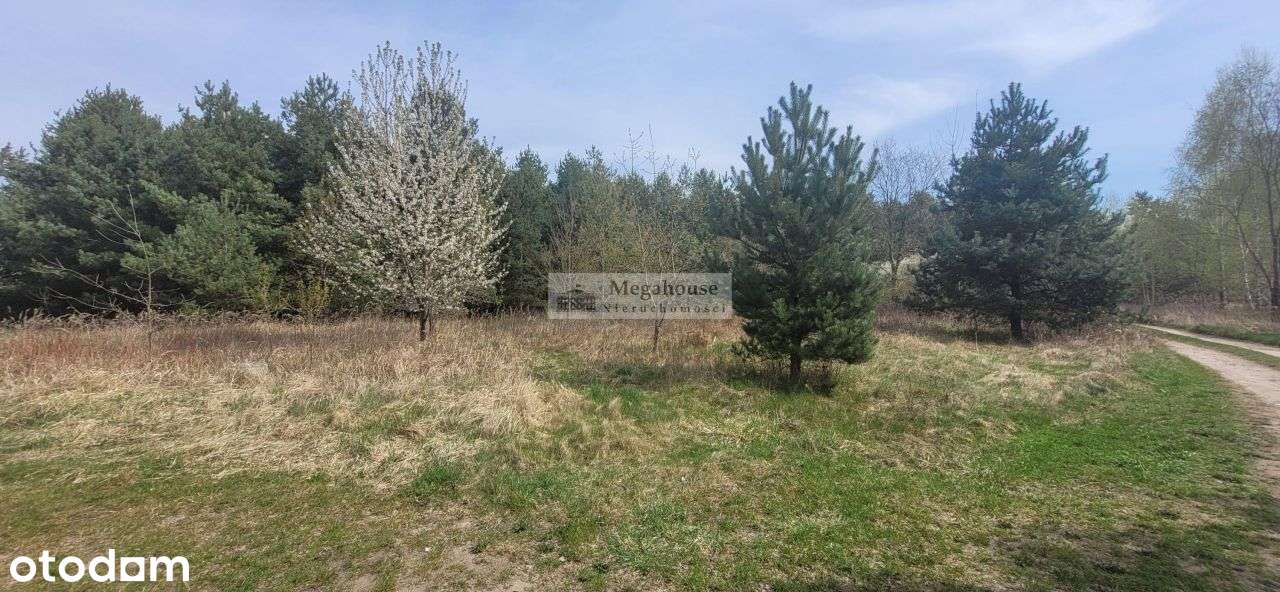 Okazja dla inwestora, dewelopera!!!-2