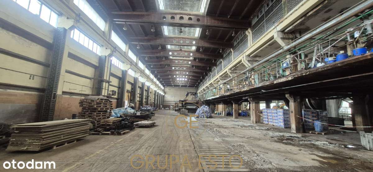 Hala Magazynowa z wysokim składem Rybitwy-1