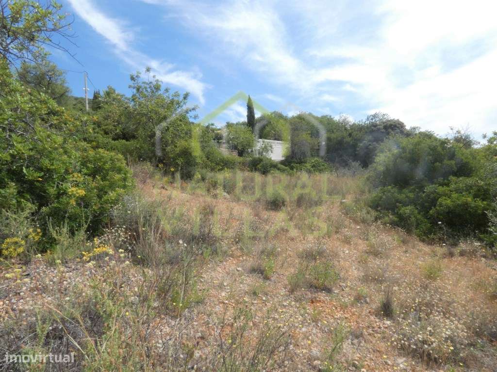 Terreno com Vista Mar Panorâmica em Santa Bárbara de Nexe - Grande imagem: 2/7