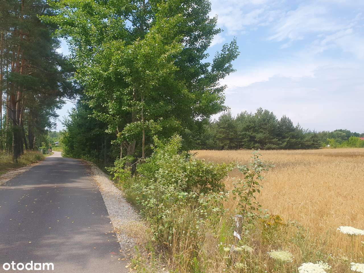 Działka budowlana o pow. 1277m2 Wymysły - Pełny obrazek: 4/4