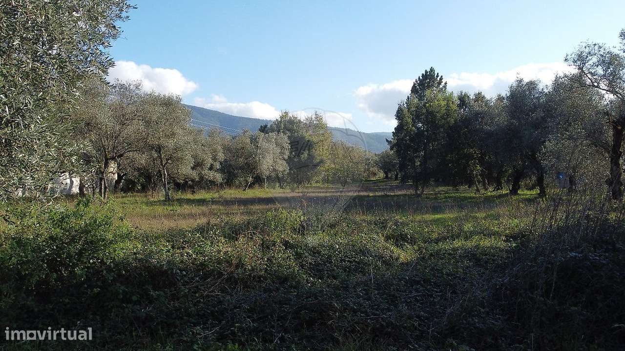 Terreno  para venda - Grande imagem: 4/4