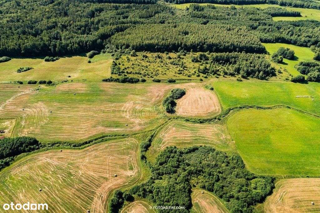 Działka z plażą nad jeziorem Narie - Pełny obrazek: 5/15