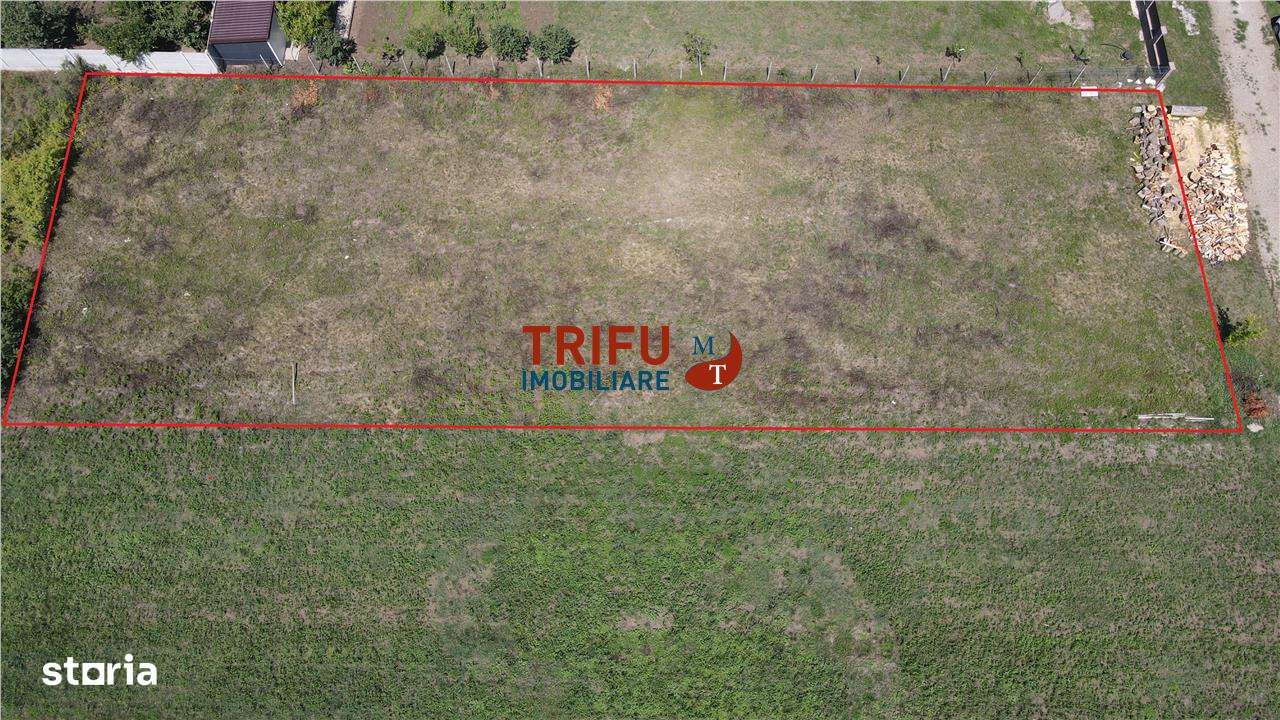 Teren de vanzare Alba Micesti, 1200 mp - Imagine principală: 4/7