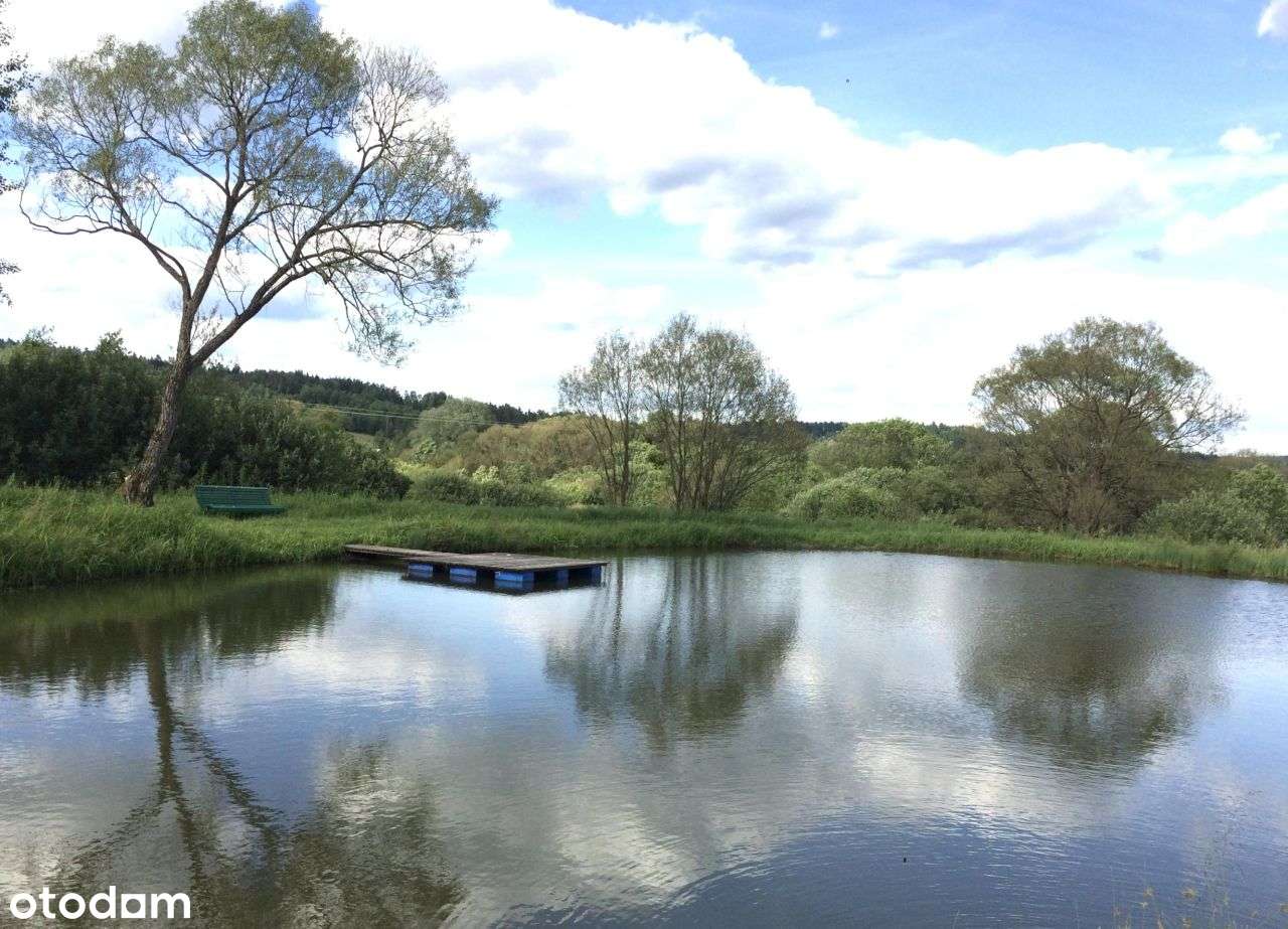 Wygodny dom. Działka 3,5ha. Staw.Las -Bieszczady-6