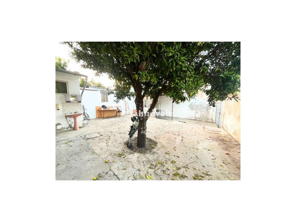 Moradia T3 c/ Quintal e Telheiro - Riachos - Grande imagem: 4/18