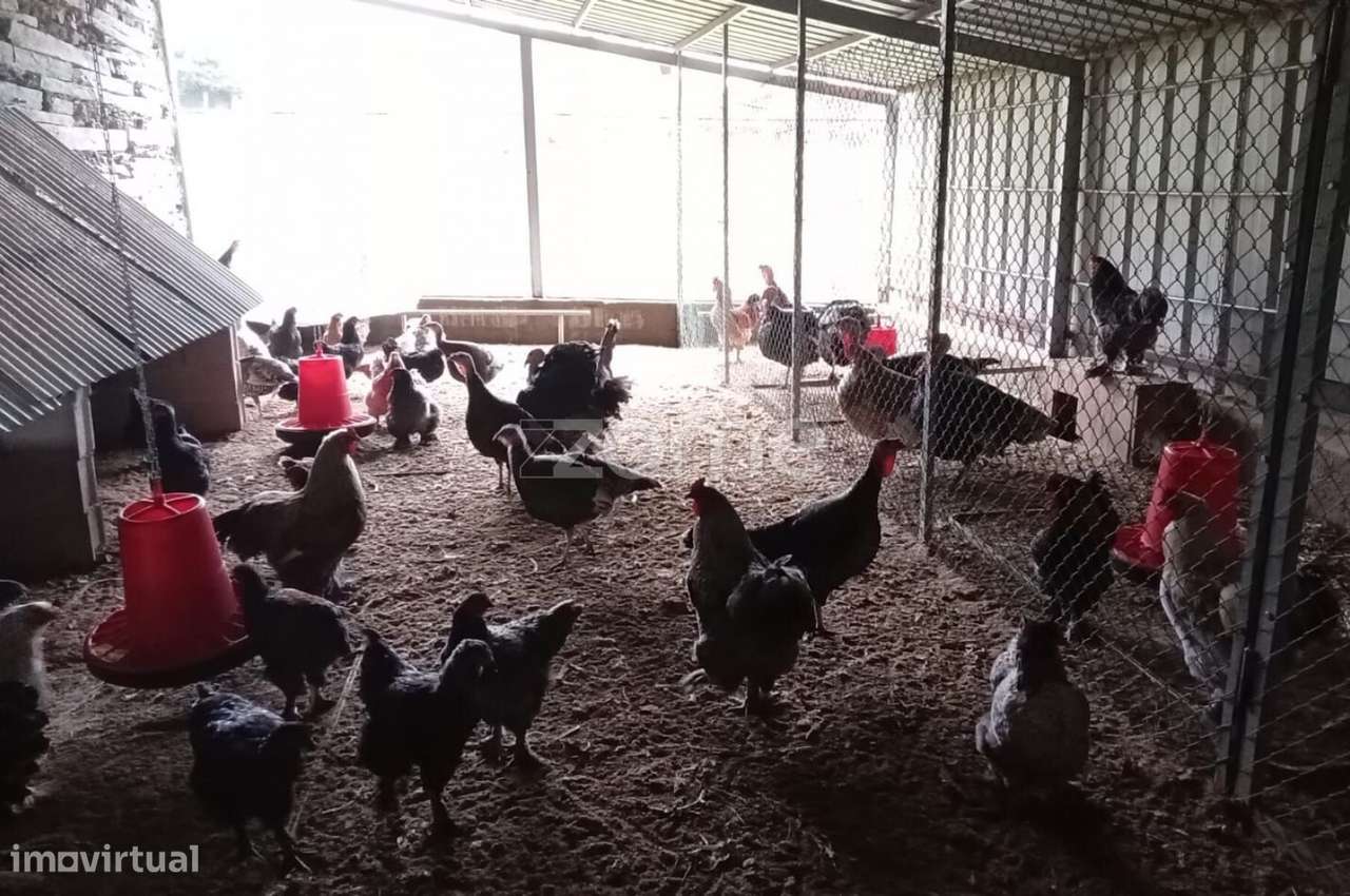 Moradia com 3 frações independentes habitacionais-56