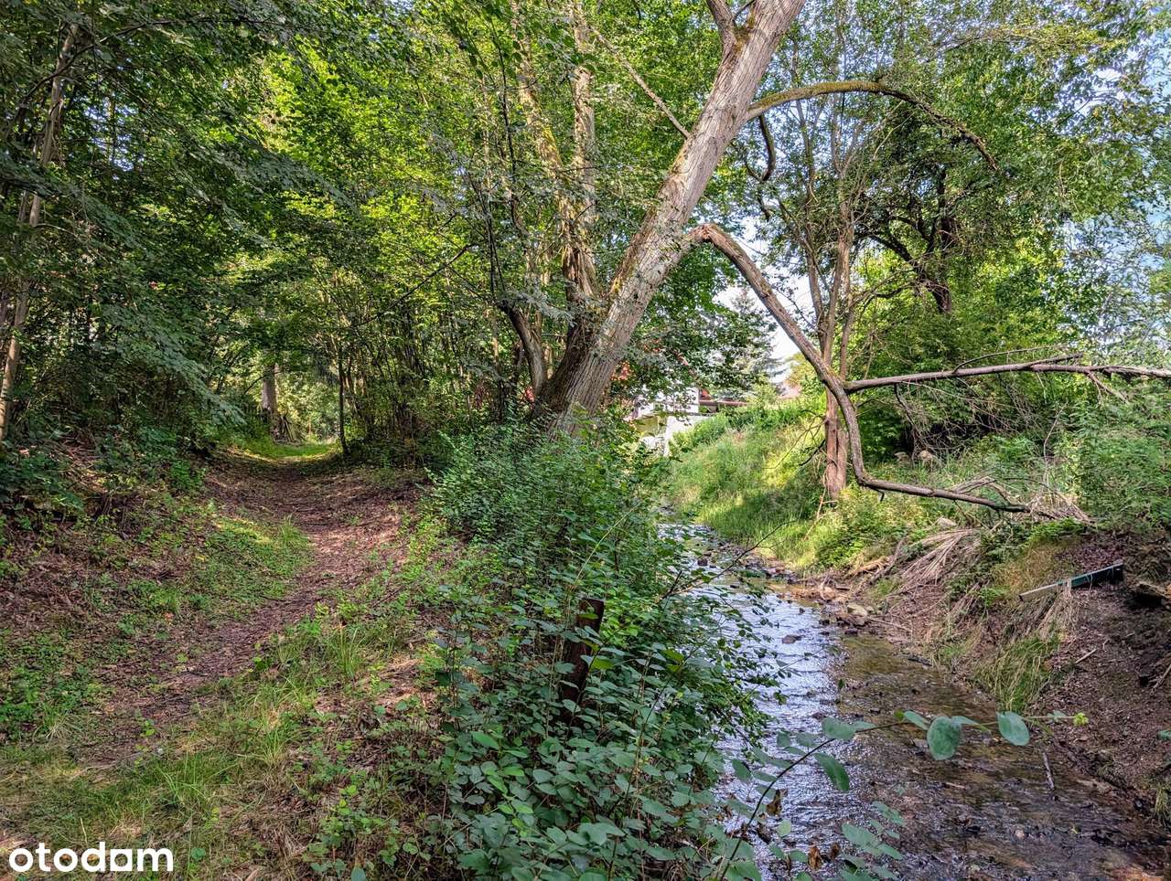 Dom na wsi -  Cena do Negocjacji !!!-6