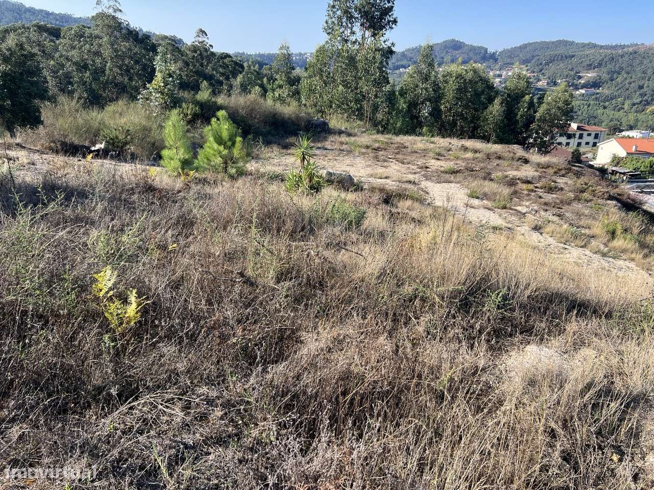 Terreno para construção em Silvares São Clemente - Grande imagem: 4/6